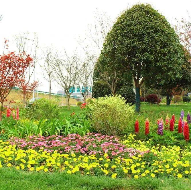 改造前项目位于合肥市高铁南站以东,临近p4停车场出入口,东临庐州大道