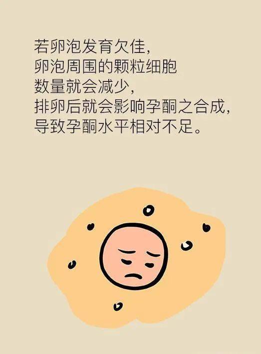吃什么东西可以补孕酮低 7c74d533953643289720343f70bdbbad.jpeg
