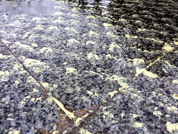 气象专家详解贵阳雨后路面出现的黄色粘稠物 花粉