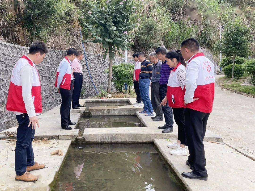 县乡人大英德市波罗镇人大建立健全工作机制提升建议办理质效