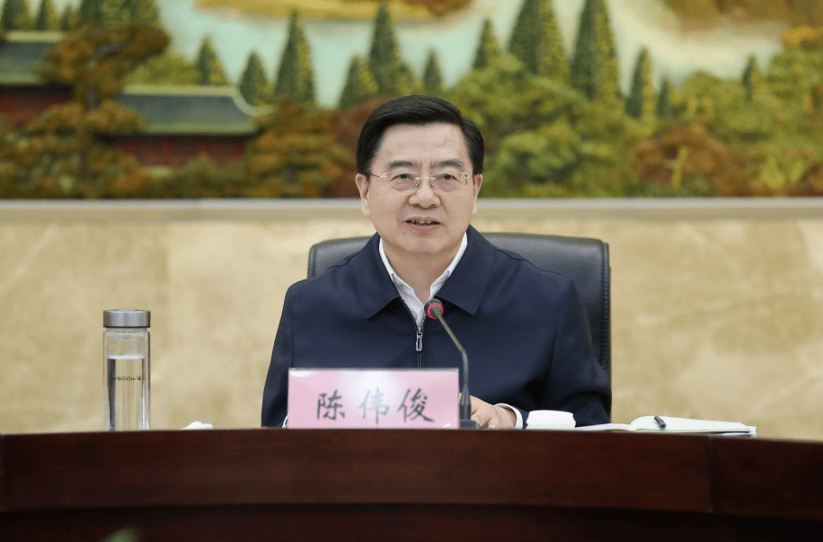 陈伟俊:推动我市政法队伍教育整顿纵深推进走在前列