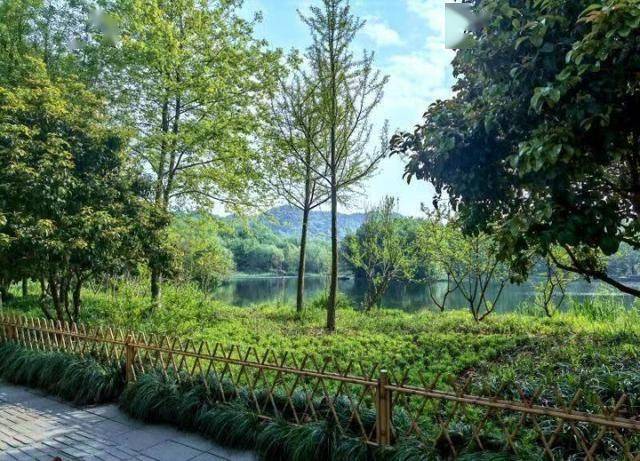 杭州龙泓涧景区提升景观换新貌,趁着好天气去打卡_灵隐管理处