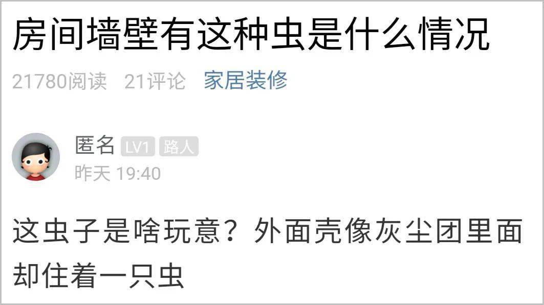 不能掉以轻心,否则衣服可能会遭殃_衣蛾