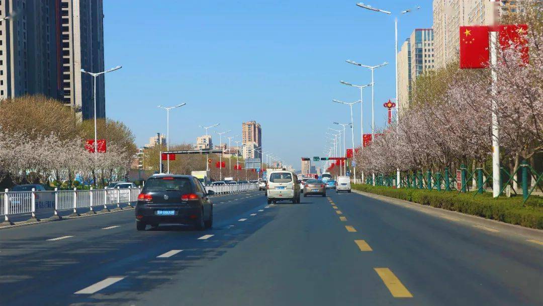 春风十里樱花如雪在世昌大道赏花容月貌