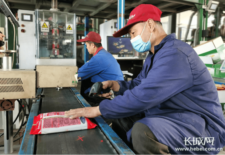 国欣棉新疆成长记