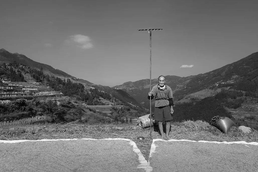 土地与人——许要武微观世界——马伟华小铅笔 大梦想——陈拥军我的