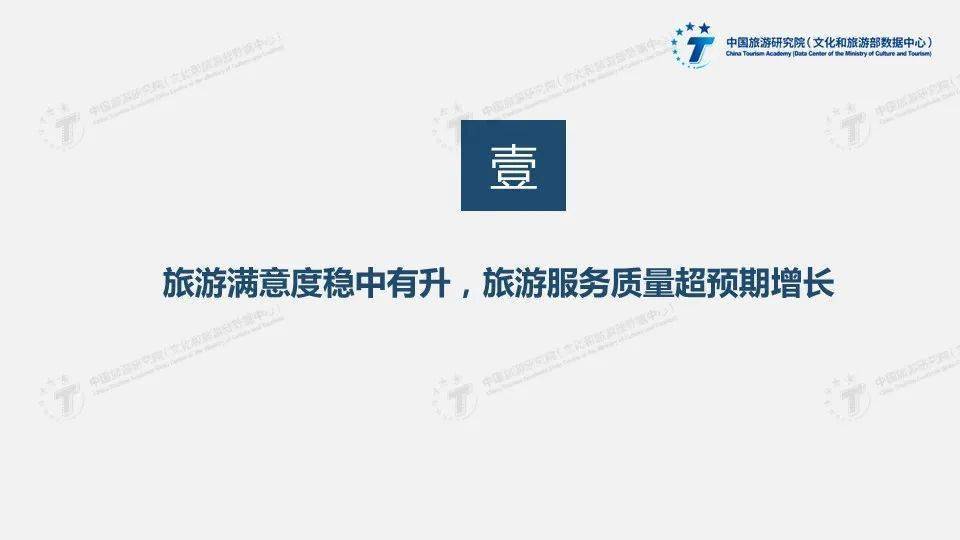 张佳仪丨2020年旅游服务质量调查报告