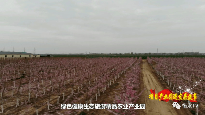 河北故城县gdp_文旅产业从无到有,衡水故城打造经济发展 新引擎(2)