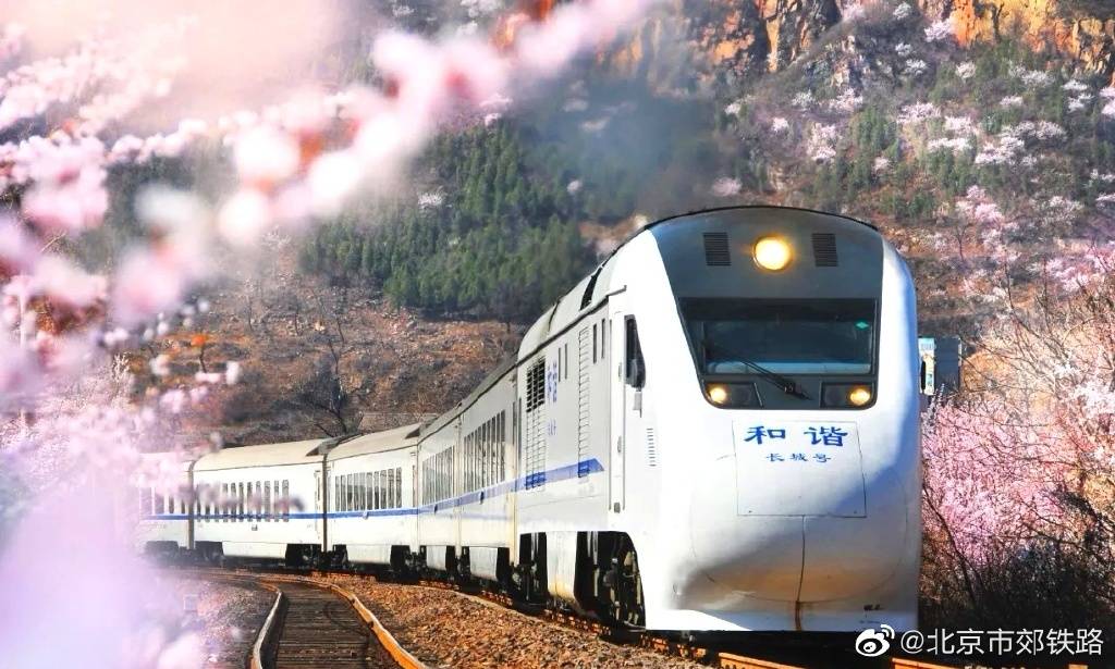 北京市委书记蔡奇:让市郊铁路发挥像东京"山手线"一样的作用