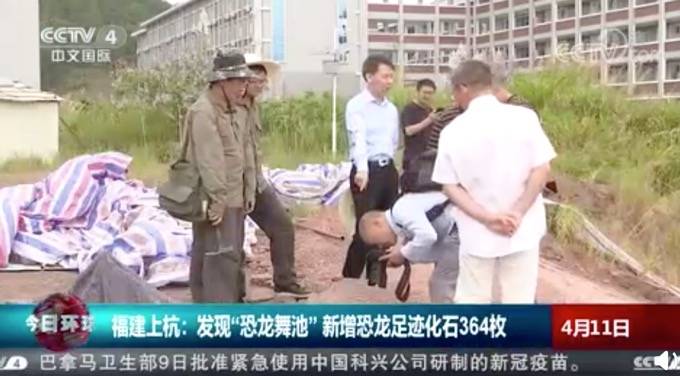 化石|福建发现“恐龙舞池” 猜测是恐龙日常活动通道，或是水源地附近