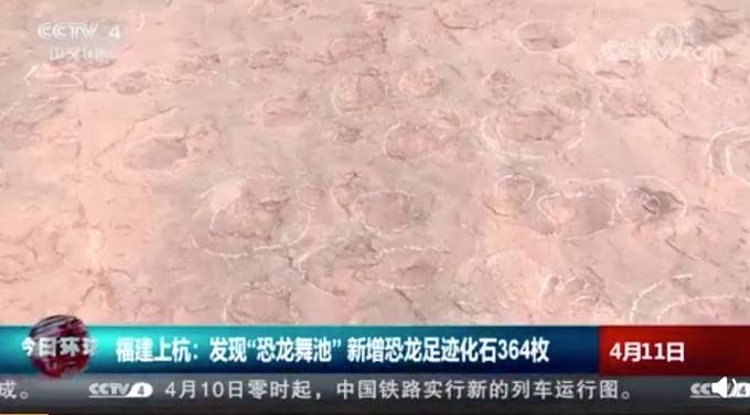 化石|福建发现“恐龙舞池” 猜测是恐龙日常活动通道，或是水源地附近
