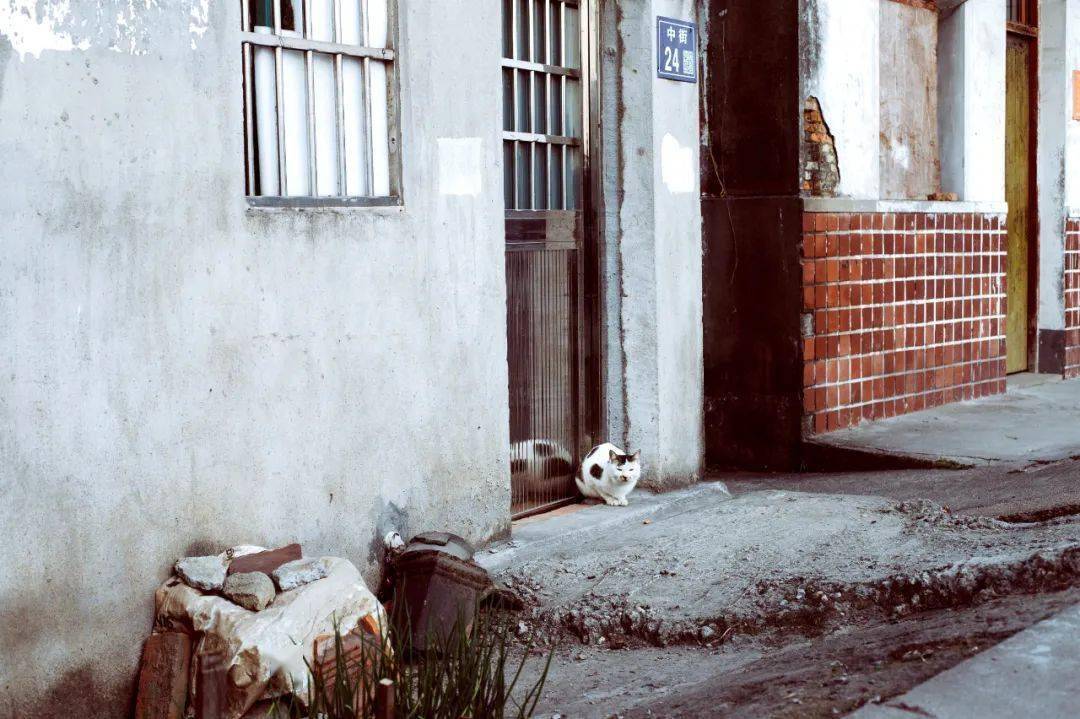 记忆中的渭塘老街