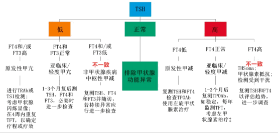 67tsh,t3/t4,超声…这么多甲状腺检查怎么选?_功能