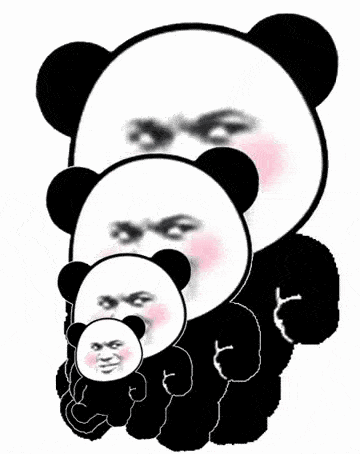 很火的熊猫动态表情包图片