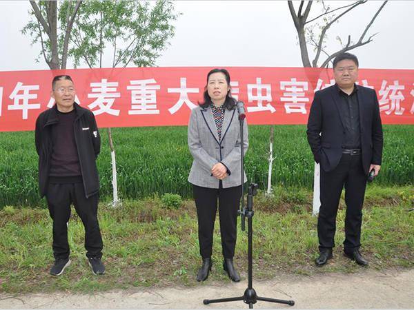 河南省正阳县小麦重大病虫害统防统治现场会在铜钟镇王寨村召开