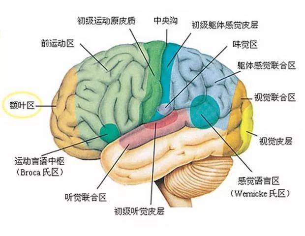 产奶量|为什么你会那么喜欢听歌？好嗨哟