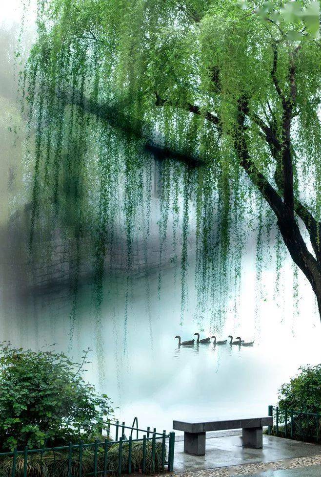 杏花烟雨醉江南