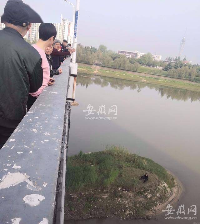 突发六安一男子从云路桥上跳下淠河