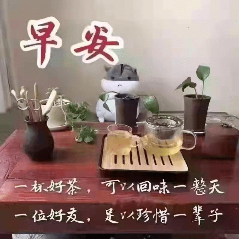 早安清茶一杯问候图图片