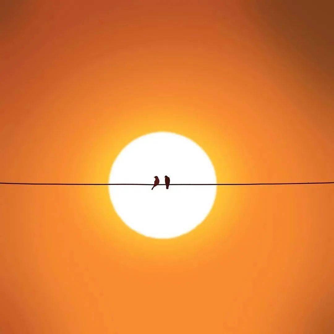 砚外之艺彩色极简主义摄影