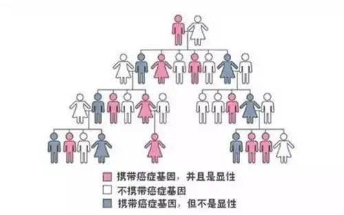 5f50a7d882c14944b9ae85df6b970a8c.jpeg