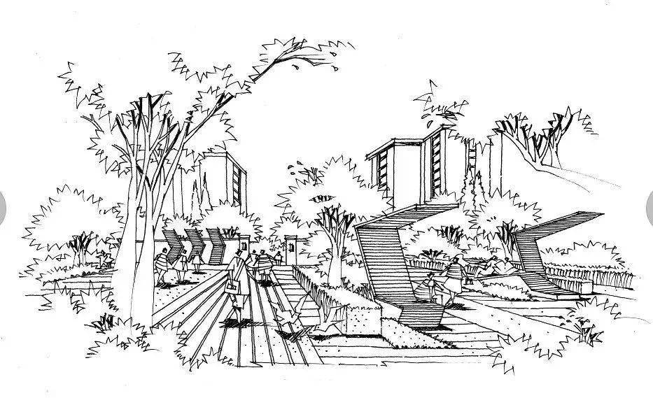 景观手绘黑白线稿构图参考