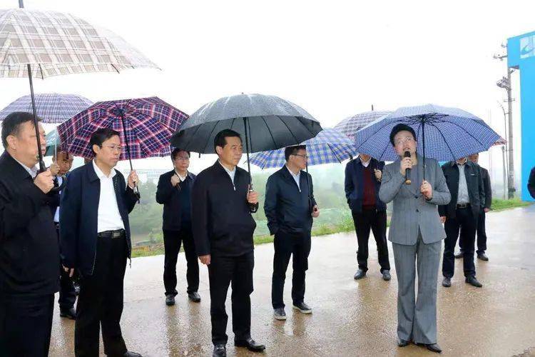 中央第六生态环境保护督察组组长徐敬业来岳督察