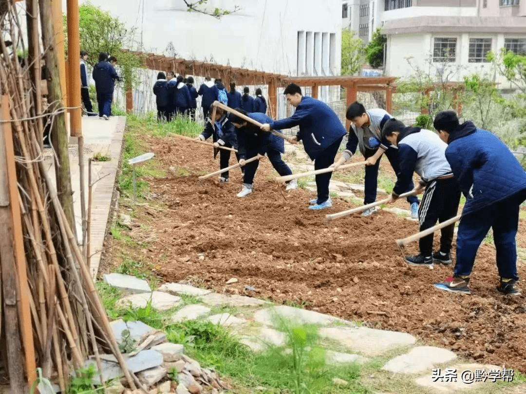 "在农耕生产劳动教育课程中,我们会让学生体验农耕生活,熟悉一年四季