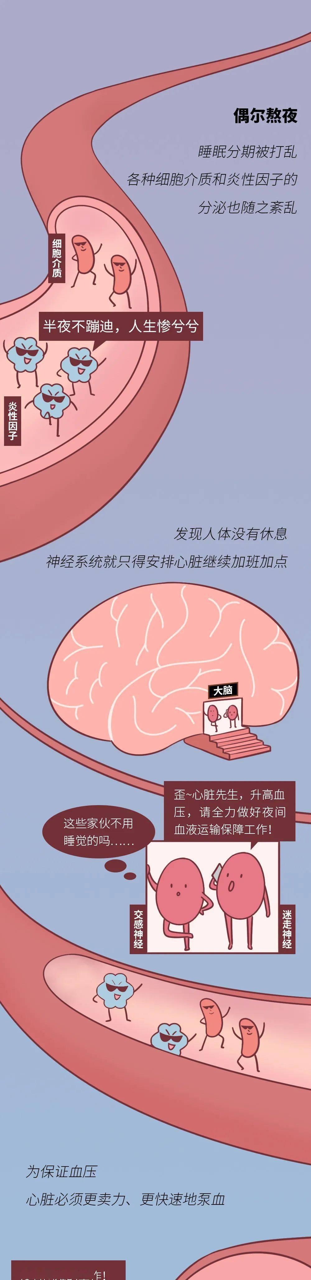 熬夜时,为什么心脏会「咯噔」一下?看完一阵后怕