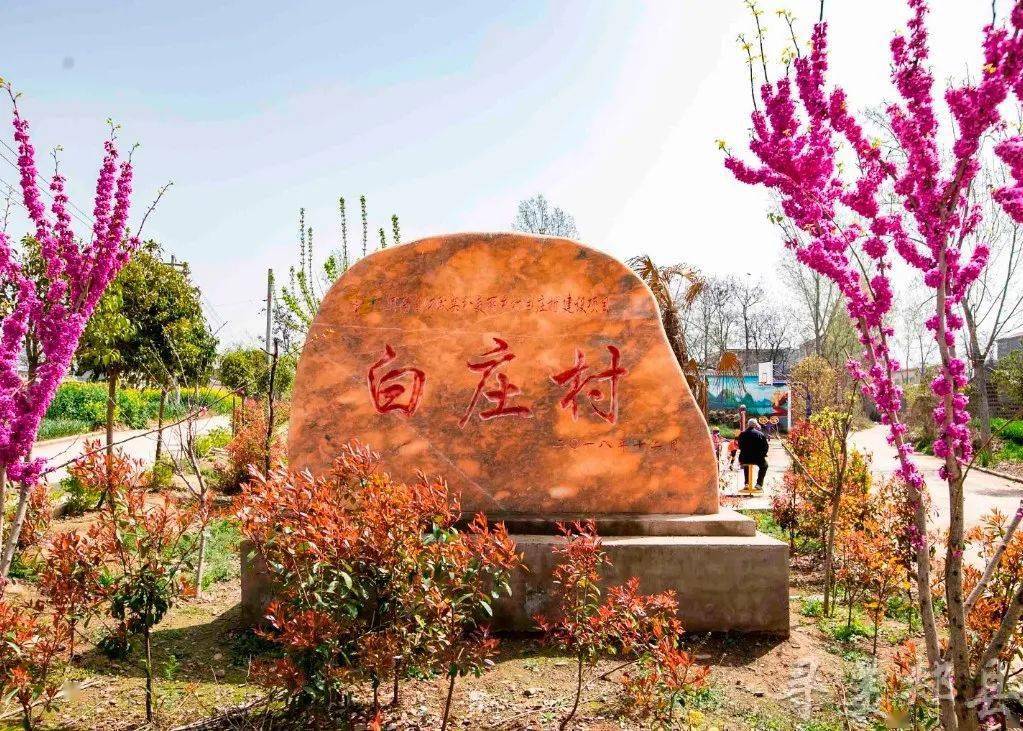 寻美郏县郏县长桥镇白庄村