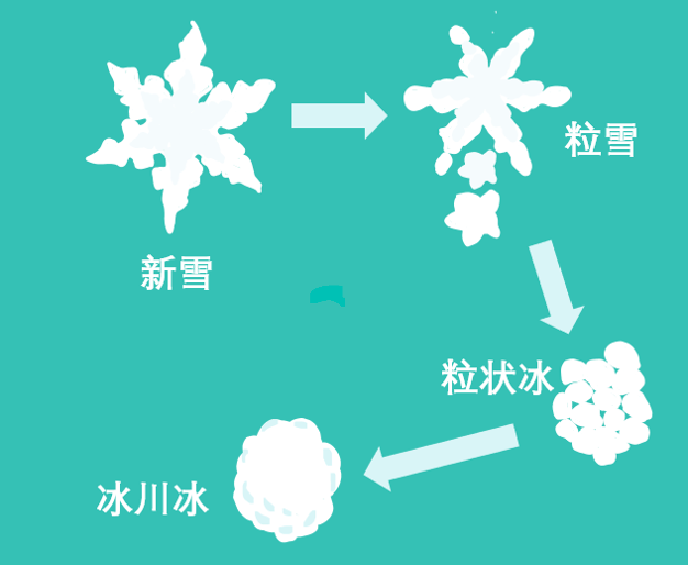 冰川冰形成示意图,绘图 | 李双福 高纬,极地区:气候严寒,新雪降落地表