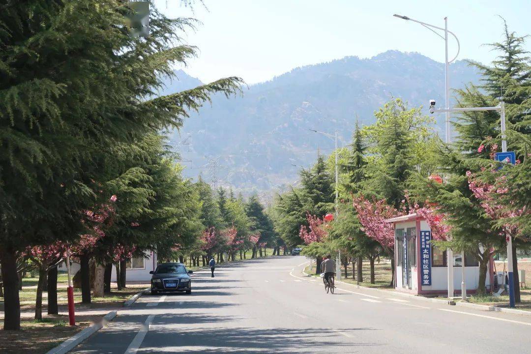 献礼建党100周年!夏庄街道举行百米书法长卷主题创作活动