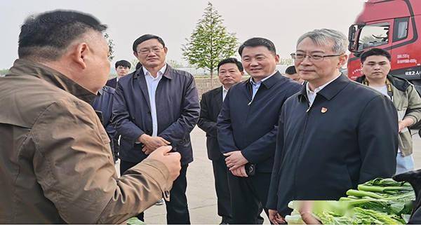 市委副书记王振利一行到遂平县和兴镇调研指导组织建设,产业发展工作