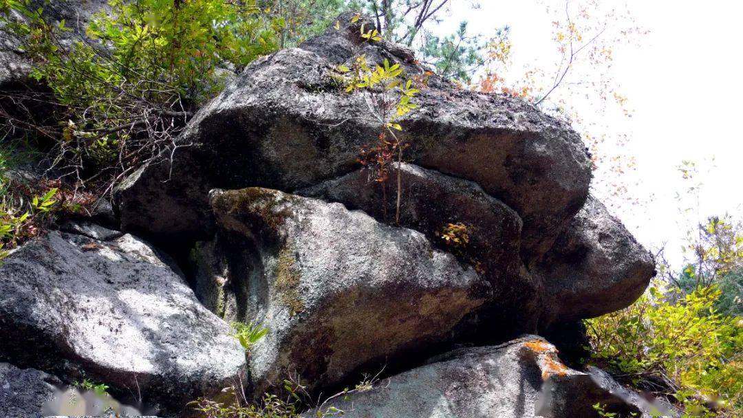 建党百年生态鹤岗100篇金顶山奇石九景