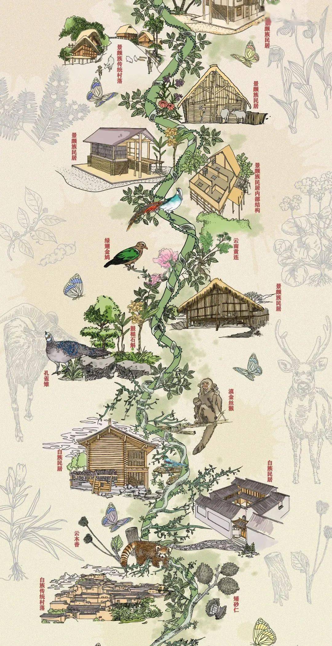 cop15手绘多样云南这组长图绝了