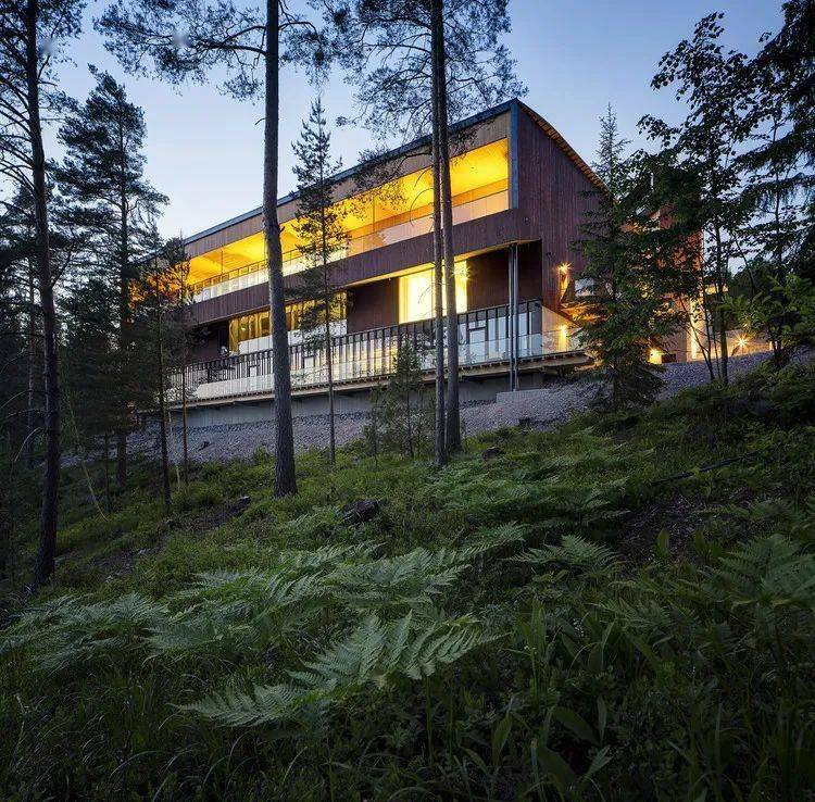 博物文旅 | 芬兰Haltia自然中心，一座森系体验大本营