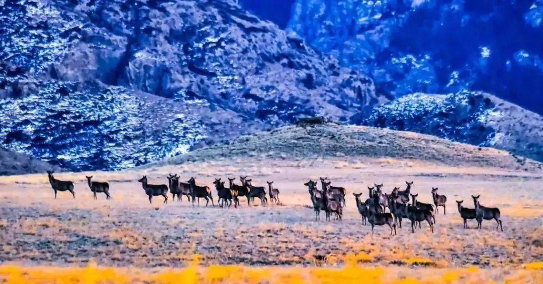 【聚焦】秀出最美的内蒙古，快来推荐你心中的内蒙古网红打卡地吧！