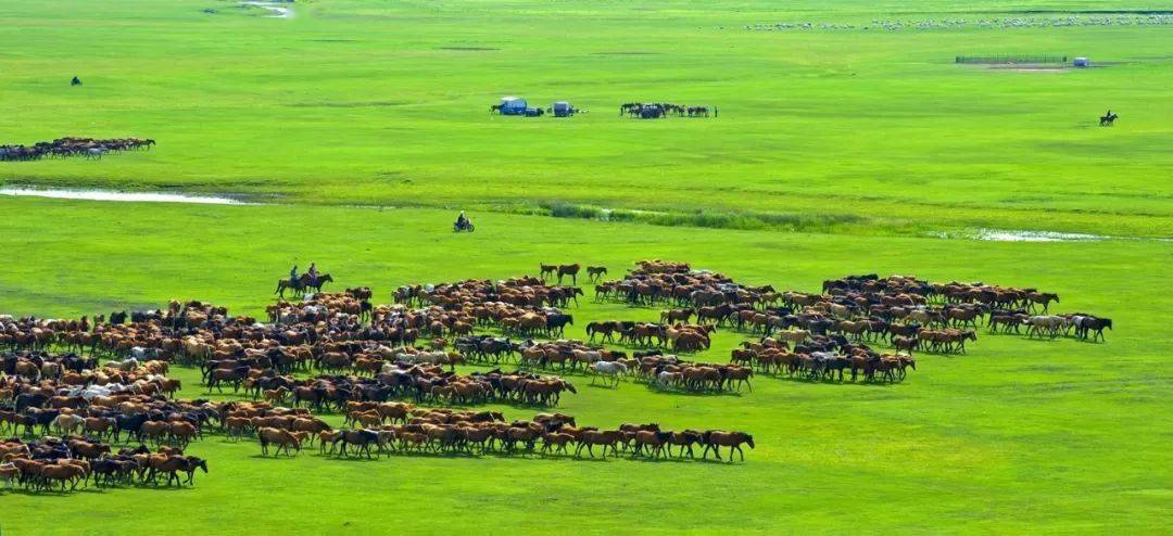 【聚焦】秀出最美的内蒙古，快来推荐你心中的内蒙古网红打卡地吧！