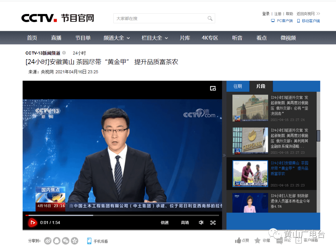 媒体看黄山安徽黄山茶园尽带黄金甲提升品质富茶农