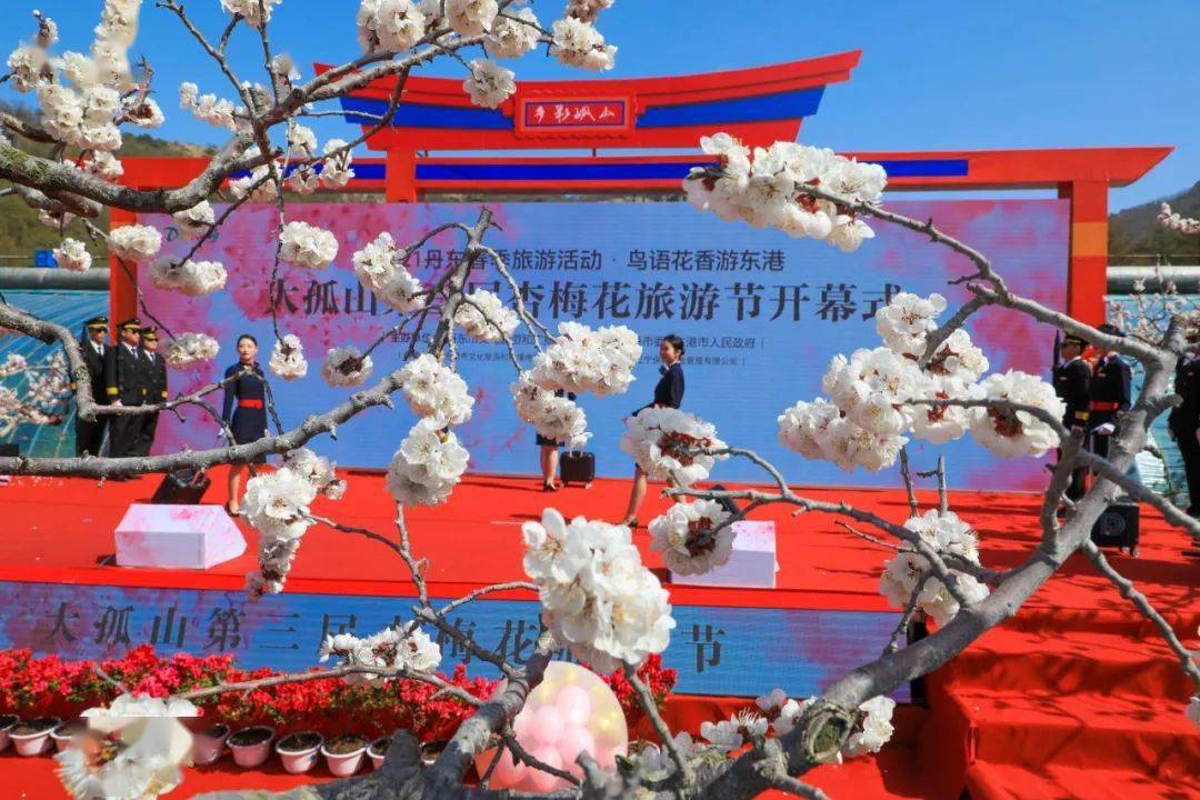 大孤山杏梅花节开幕30张美图曝光盛会持续3天