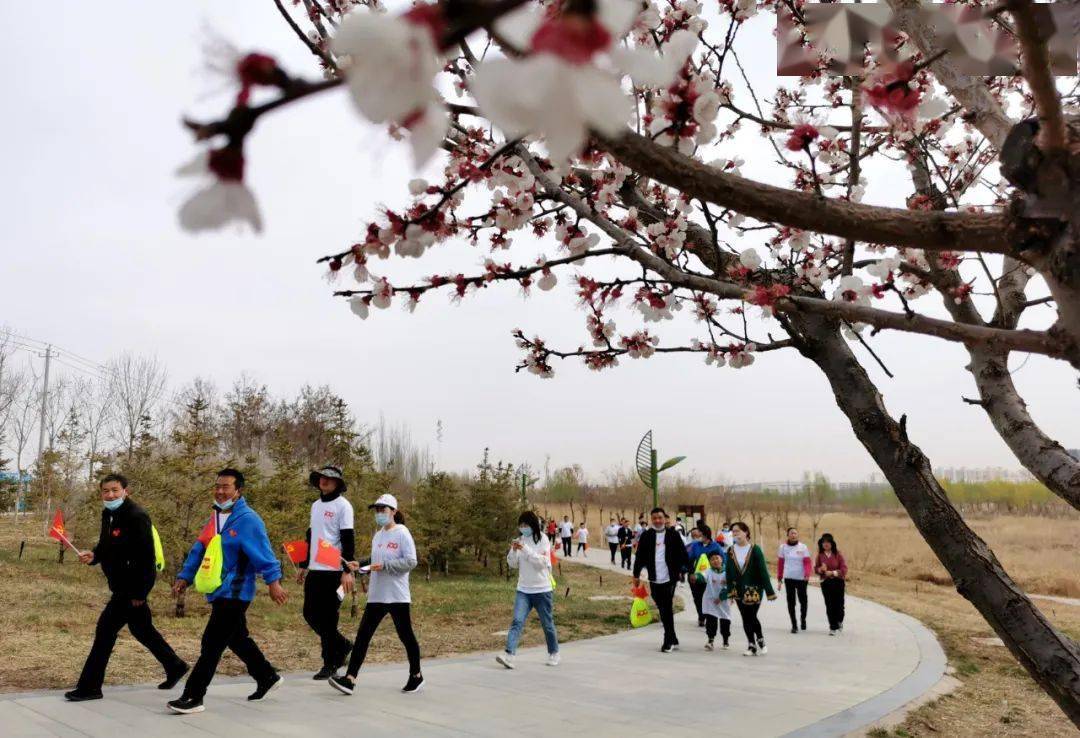 3500人与春花相伴行走湿地公园！兰州新区举办“不忘来时路·迈向新征程”徒步活动