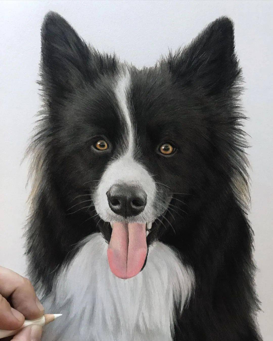 彩铅狗狗手绘 好写实啊_基础