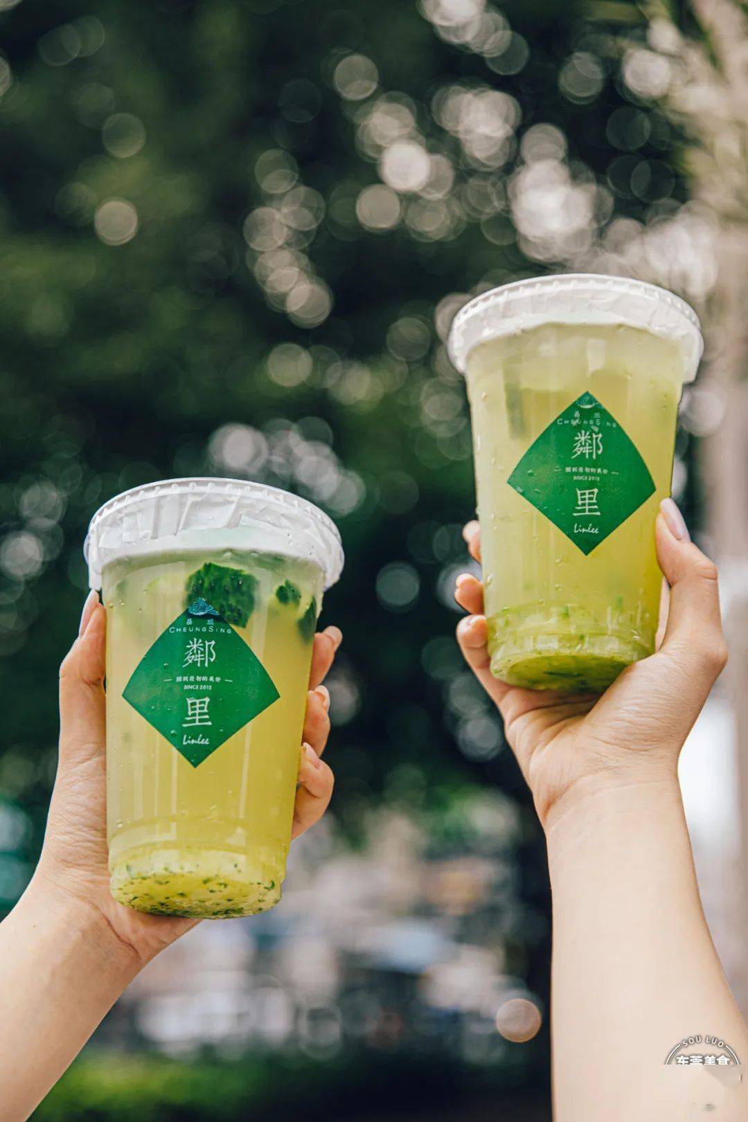 又绿又渣的绿绿绿柠茶来了夏日第①杯get