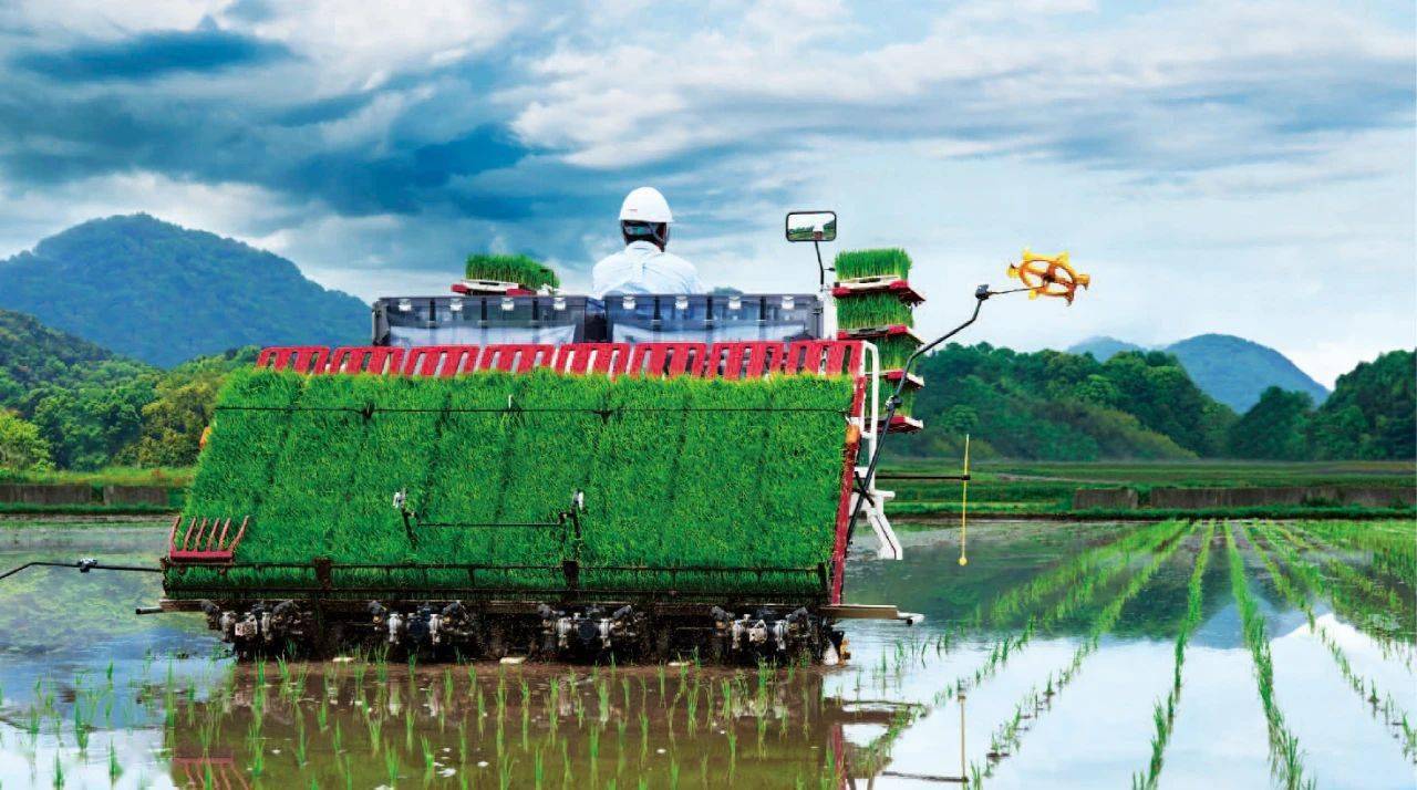 柴油版高速插秧机发动机保养小技巧,记住这几点,保养不求人