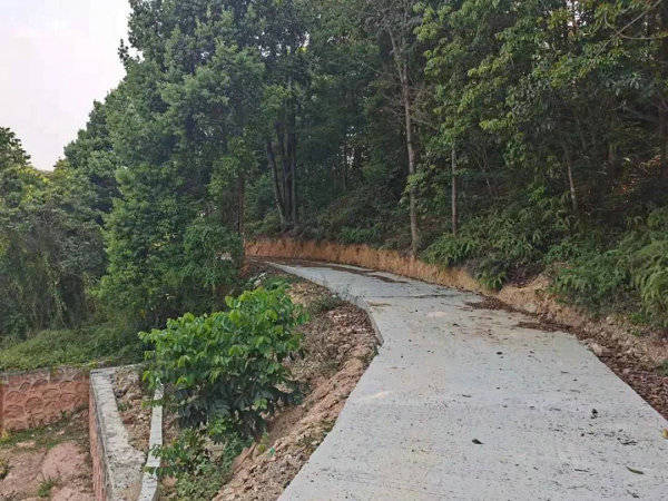 公路便道施工方案“大谈带幼径”这条高快施工便谈变身“致富谈”(3)