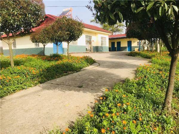 当阳市半月镇人居环境整治焕新颜留乡愁