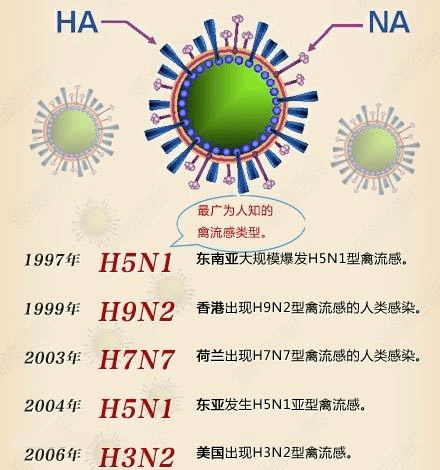 警惕!一地发生野禽h5n6亚型高致病性禽流感疫情