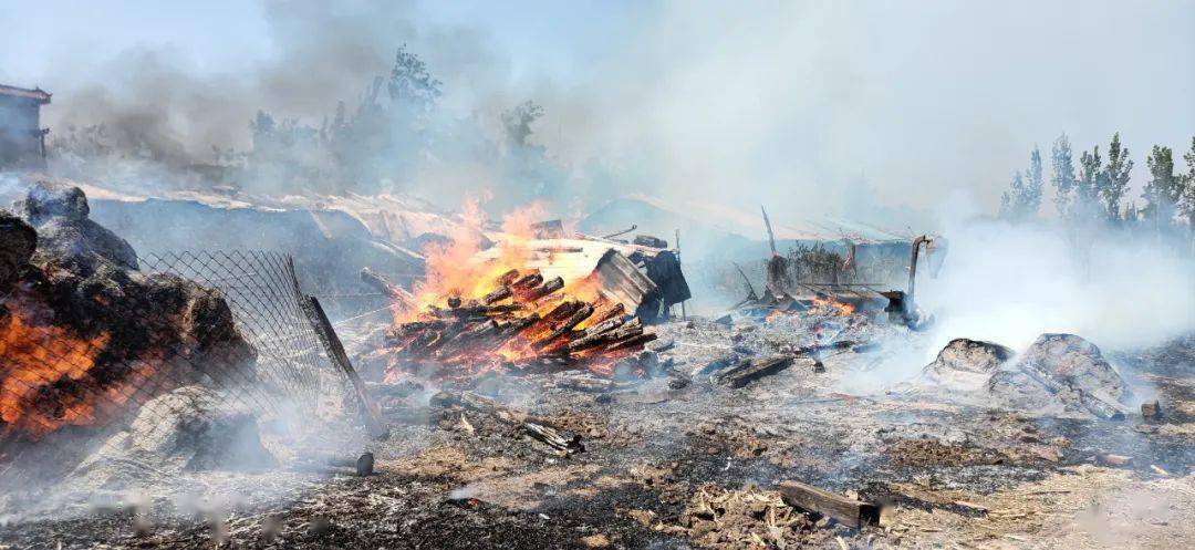 几十只羊险被烤全羊