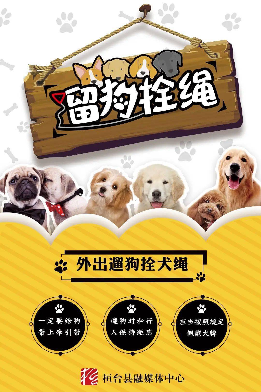 桓台人5月1日起遛狗不拴绳将违法