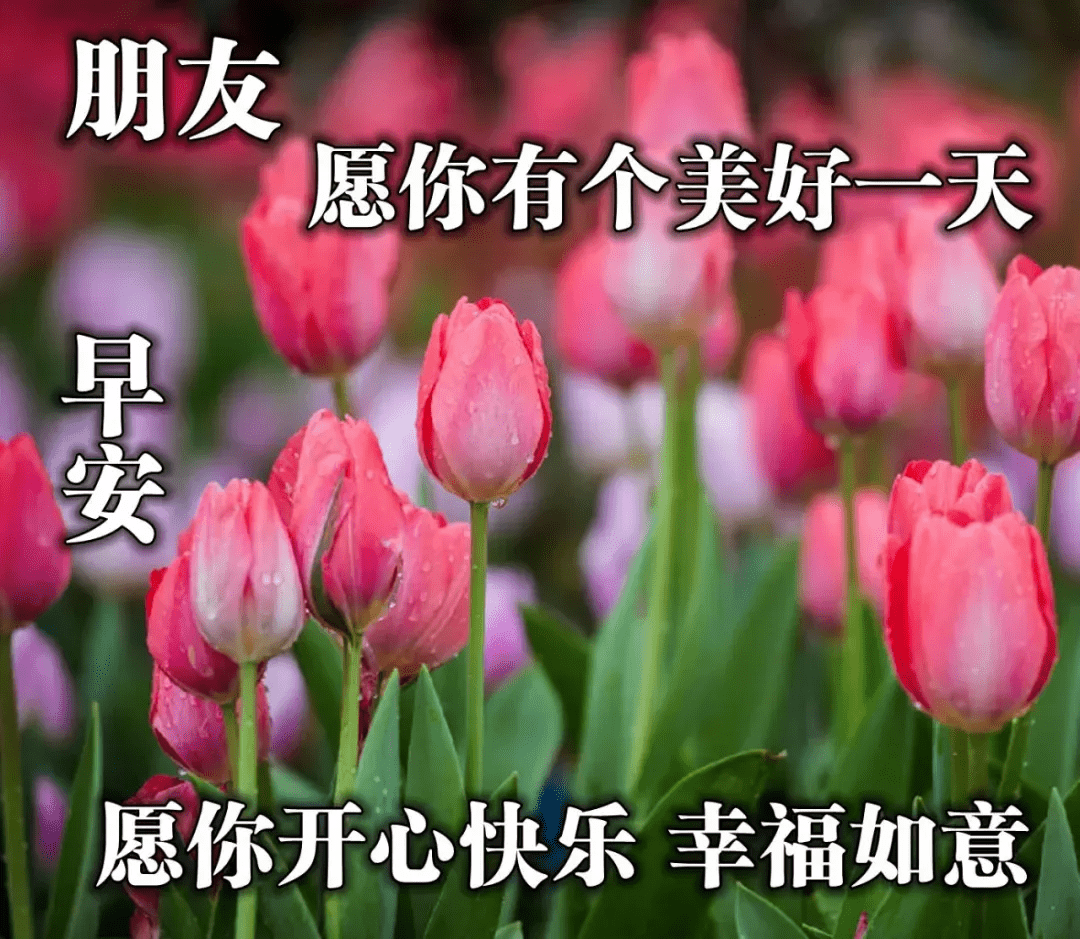 早晨安好：祝福记在心间，希望常存信念，温馨道声早安_生活